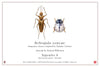 Arthropoda iconicus: Imaginary Insects Inspired by Popular Culture