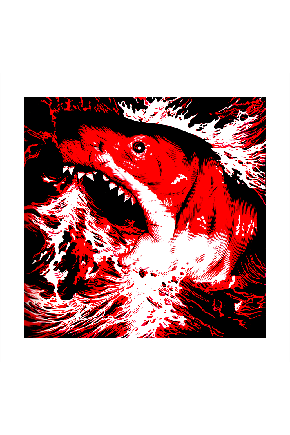 "The Shark" by Chris Koehler