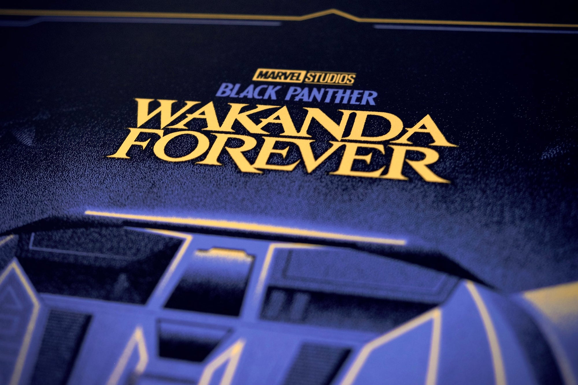 "Black Panther" by DKNG