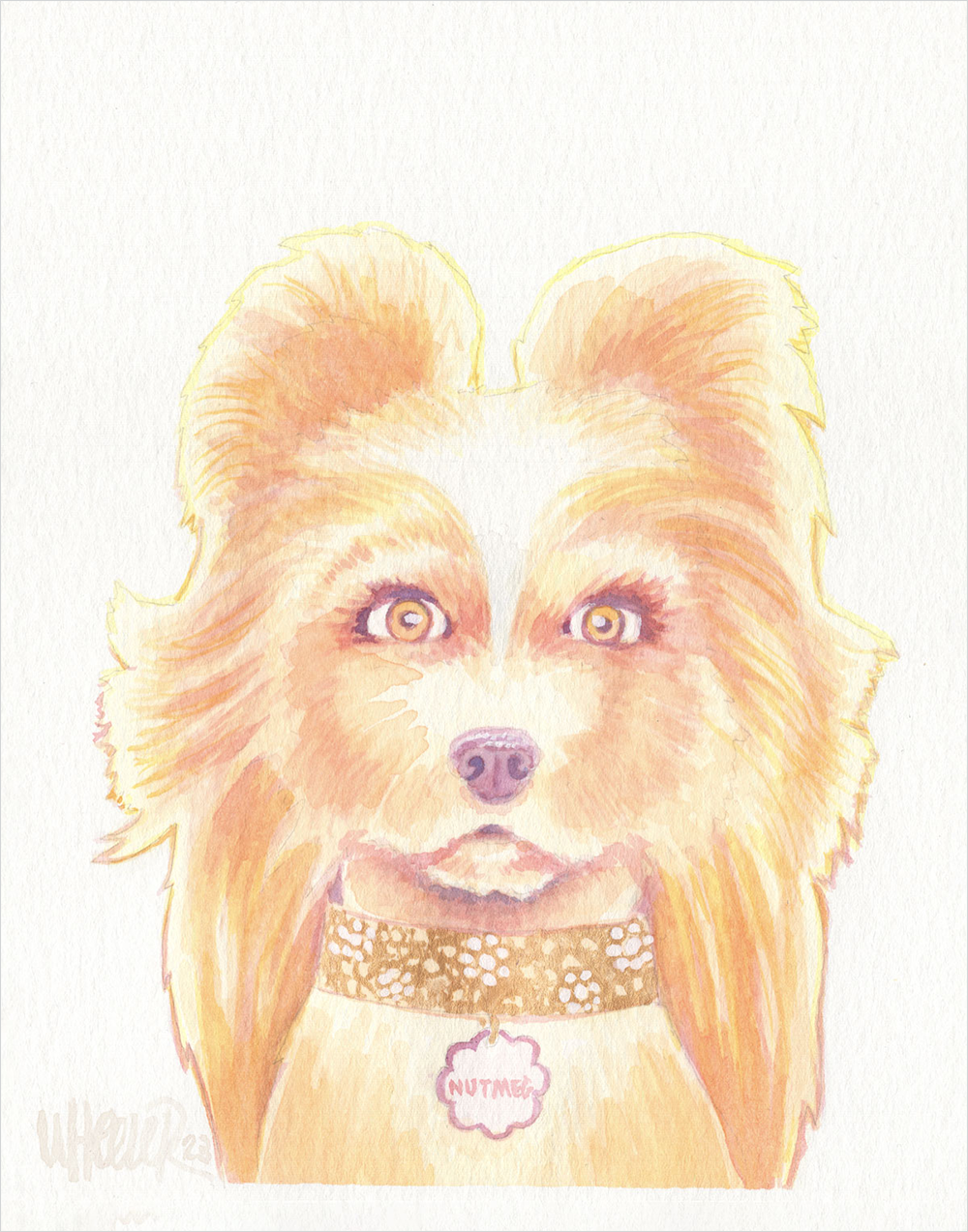 "Nutmeg" by Jeremy Wheeler