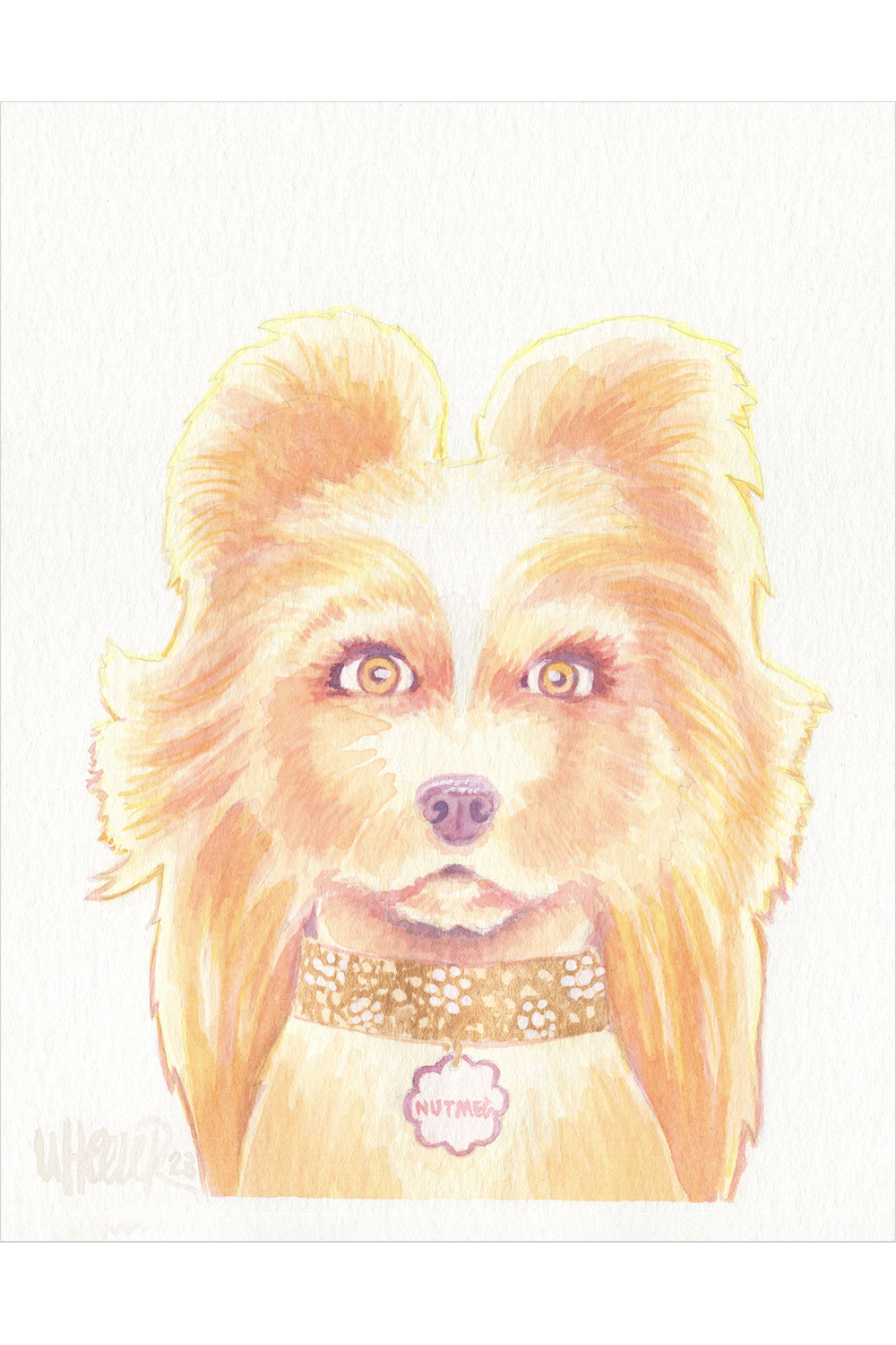 "Nutmeg" by Jeremy Wheeler