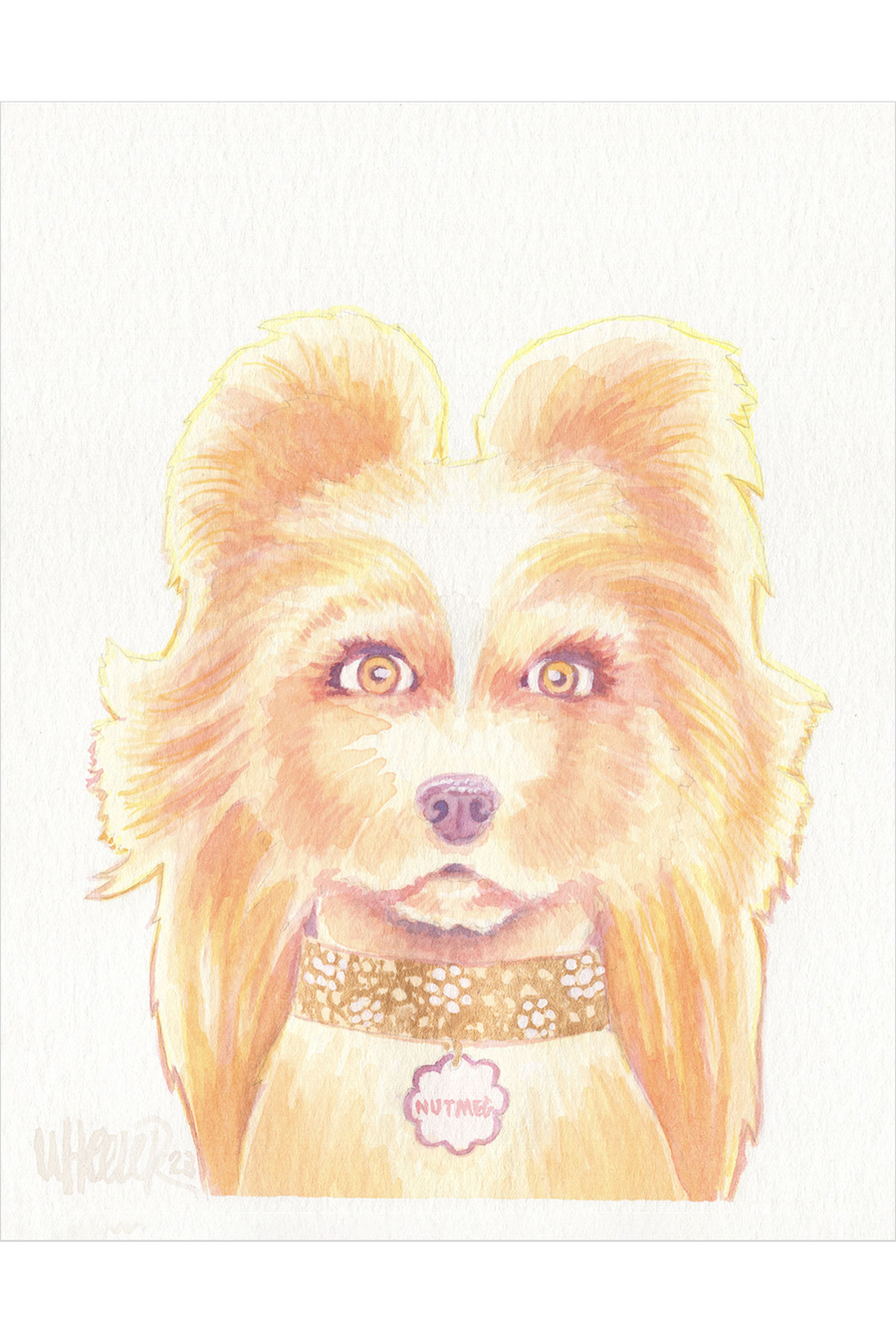 "Nutmeg" by Jeremy Wheeler