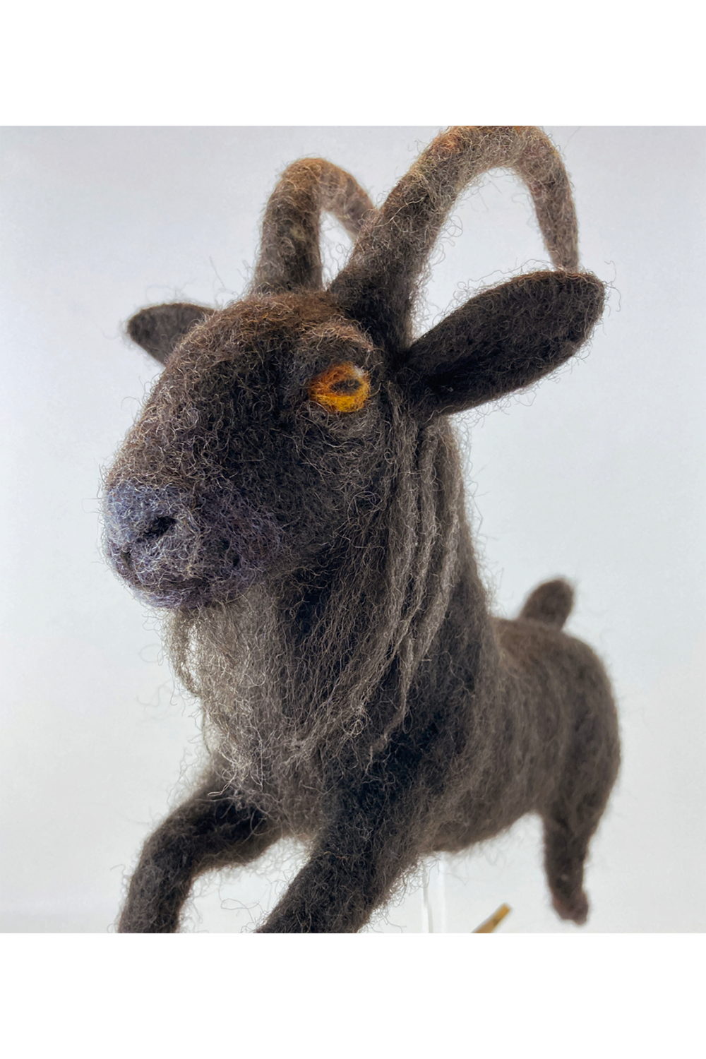 "Black Phillip, Black Phillip, King of All" by Kerri Wessel