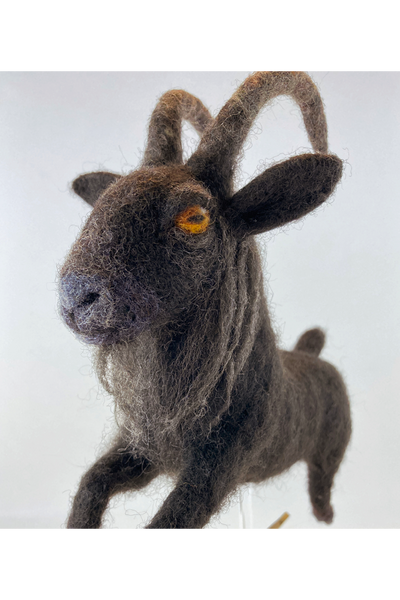 "Black Phillip, Black Phillip, King of All" by Kerri Wessel
