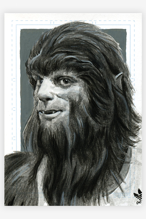 "Scott Howard" by Robin Springett