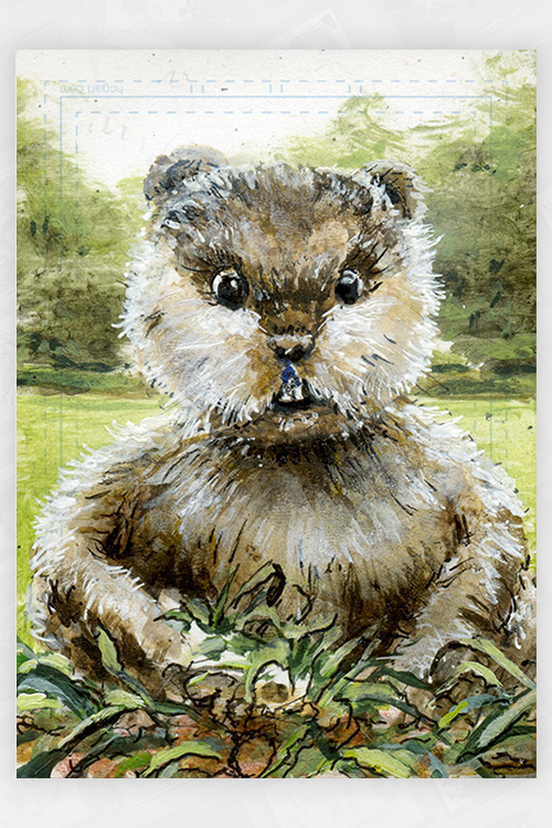 "My enemy is an animal" by Brian Hebets