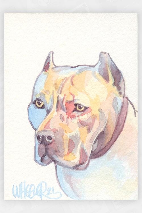 "Brandy" by Jeremy Wheeler