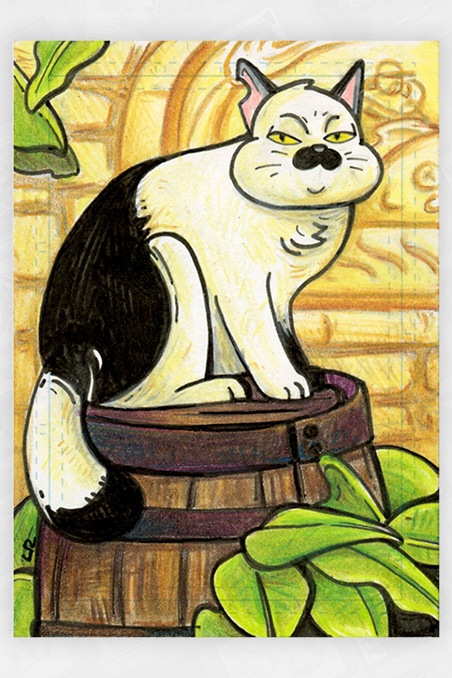 "Il Gatto" by Not Cool Co.